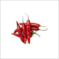 Fresh Red Chilli