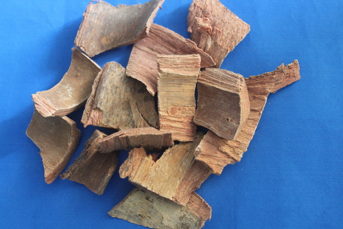 Terminalia Arjuna Bark Extract Extract