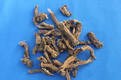 Coleus forskohlii Roots Extract