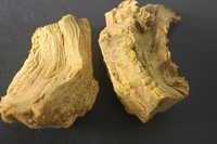 Berberis Aristata Roots