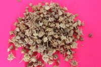 Tribulus Terrestsis Fruits Extract