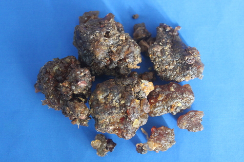 Guggul Gum Extract