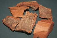 Ficus Gromerata Bark