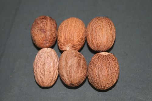 Myristica Fragrans Extract