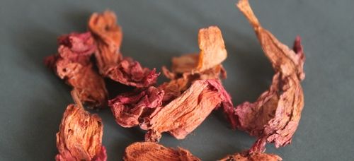 Hibiscus Rosa Sinensis Flowers