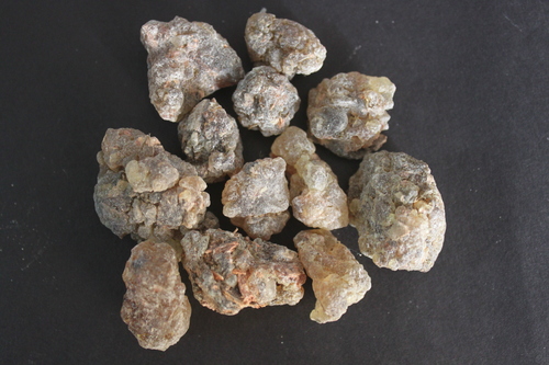 Boswellia Serrata Gum Extract