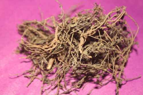 Antiulcer Herbs