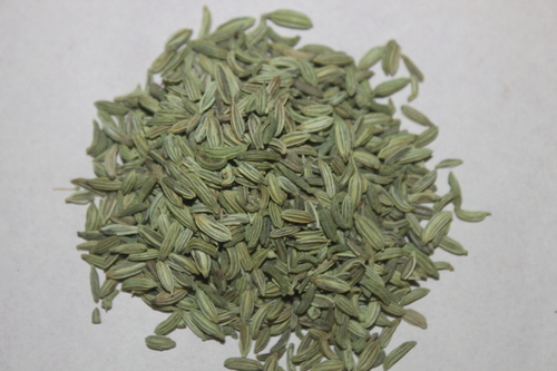 Foeniculum Vulgare Fruits Extract