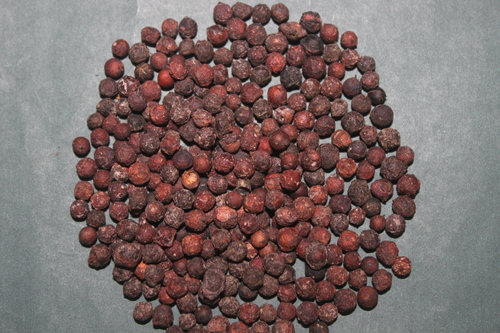 Embelia Ribes Seeds Extract