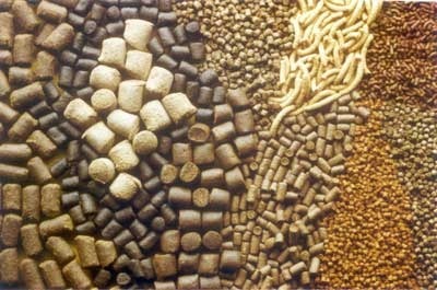 Cattle Feed