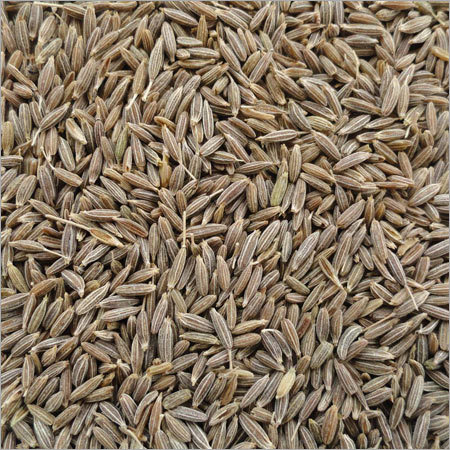 Indian Cumin Seeds