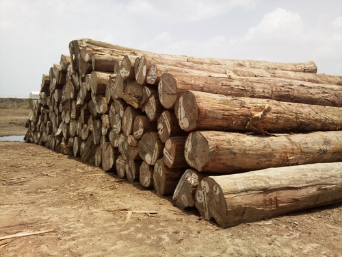 Sheesham Wood