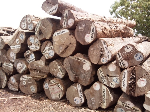 valsadi teak wood