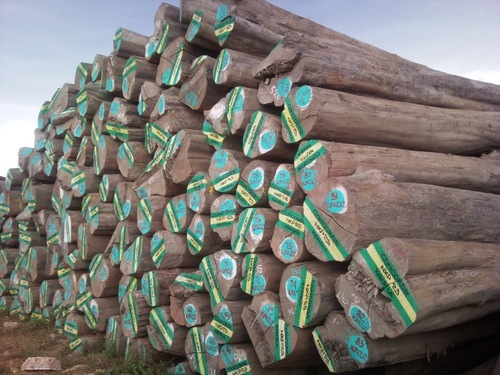 Wood Teak Logs
