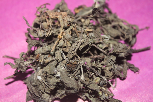 Eclipta Alba Herb Extract