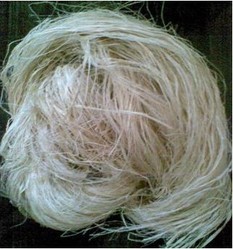Banana Fiber