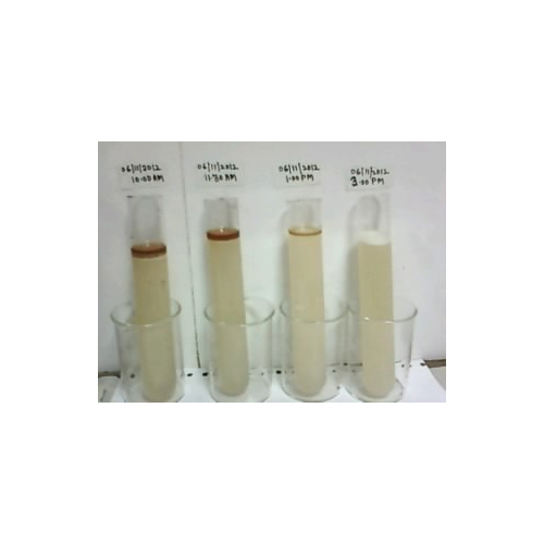 Different Stages Samples of Solution For Laboratory