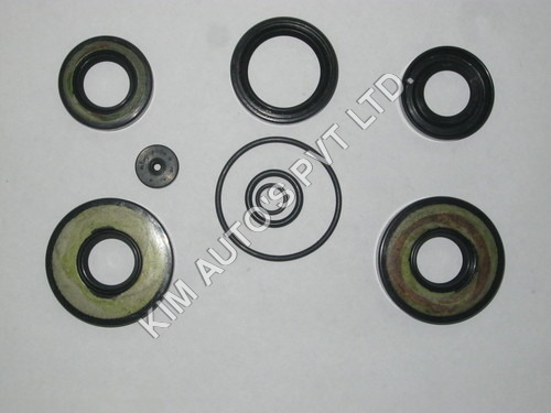 Rajdoot Oil Seal Kit