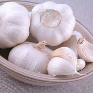 Vietnamese Garlic
