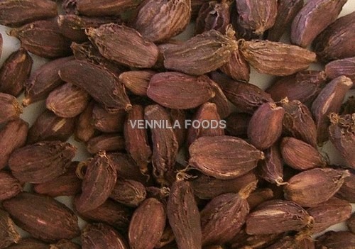 large cardamom