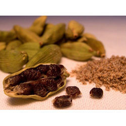 Black Cardamom Powder