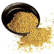 Yellow Mustard Powder