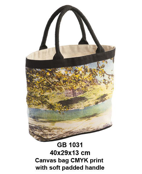 Printed Canvas Bag