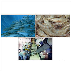 Seafood Processing Chlorine Dioxide