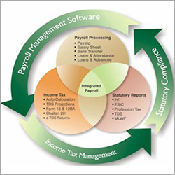 Payroll Management Software