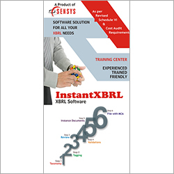 Instant XBRL