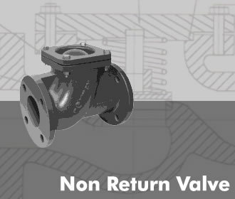 Non Return Valve