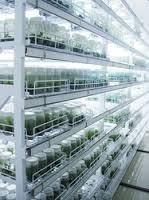 Tissue Culture Rack Fitted with On/Off Switches - Mild Steel, 48x21 Inches, Glass Covered, 0-24 Hr Timer, 4 Bulbs & Tubes