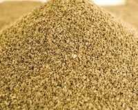 Celery Powder