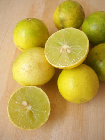 Citrus Limonum Extract - 100% Pure Concentrated Essence | Natural Antioxidant Rich in Vitamin C