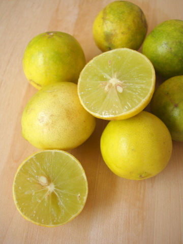 Citrus Limonum By KISALAYA HERBALS LTD.