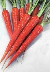 Desi Red Carrot Seeds