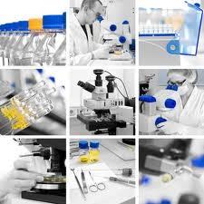 Research Microscopes