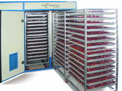 Industrial Drying Oven/Tray Dryer - Quality-Tested Material, 8-96 Trays, 5-22 KW | Longer Life, High Efficiency, Great Performance