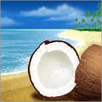 Coconut