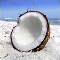 Coconut