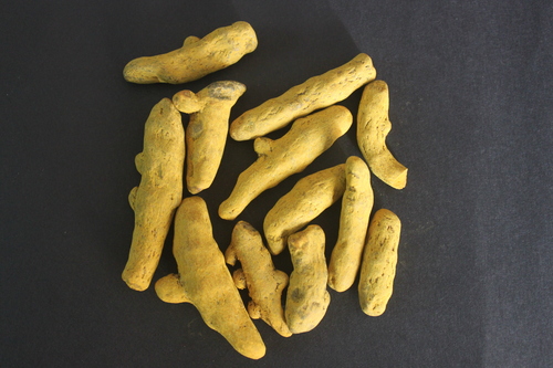 Curcuma longa Rhizomes Extract