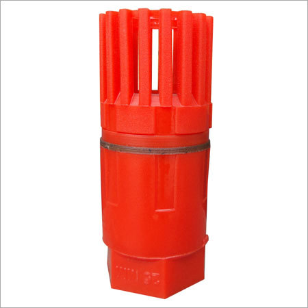 Bore Foot Valve