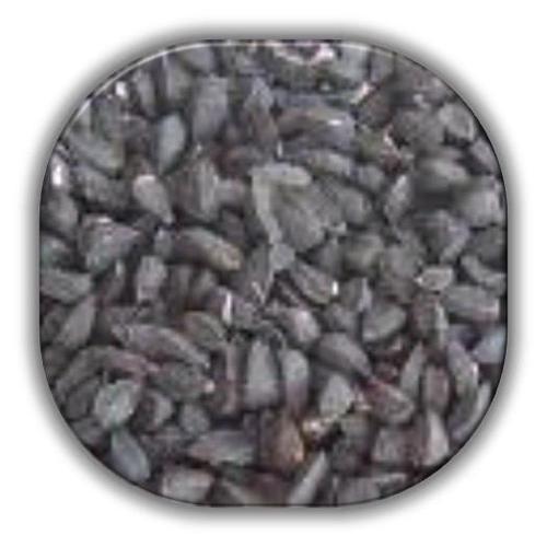 Nigella Sativa Seeds Extract