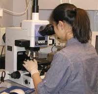 Senior Research Medical Microscope - Horse Shoe Base, Rack/Pinion Condenser, Achromatic Objectives | Triple Nosepiece, Separate Motion, Precise 0.002 Mm Reading, Detachable Stage, Hygenian Eye Pieces, Wooden Box