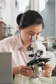 INCLINED MATALLURGICAL MICROSCOPE - Monocular 45° Tube, Quadruple Nosepiece, Bright Field Illuminator | Graduated Mechanical Stage, Variable Light Control, Photomicrography Optics