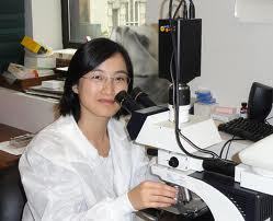 INVERTED METALLURGICAL BINOCULAR MICROSCOPE