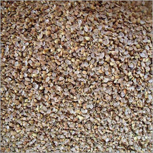 Coriander Seeds