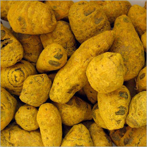 Turmeric Fingers