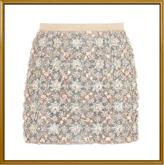 Ladies Embellished Mini Skirt