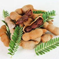 Tamarind